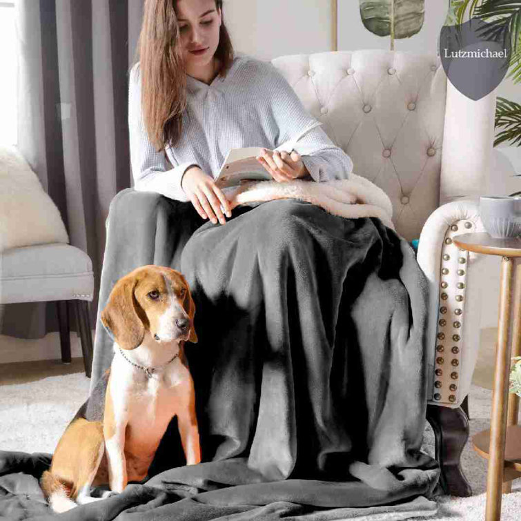 Dog proof blanket online for bed